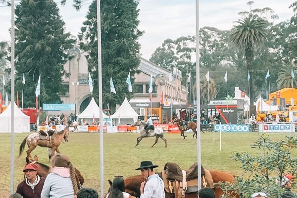 WhatsApp Image 2022-09-20 at 10.10.30 (2)