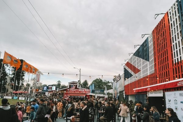 WhatsApp Image 2022-09-20 at 10.10.32 (1)