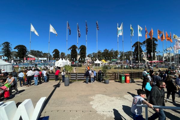 WhatsApp Image 2022-09-20 at 10.13.15